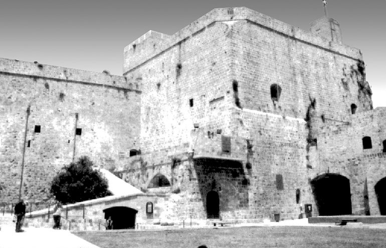 Иллюстрация к книге — Рыцарские ордена в бою [i_154.jpg]