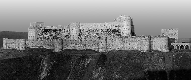 Иллюстрация к книге — Рыцарские ордена в бою [i_157.jpg]