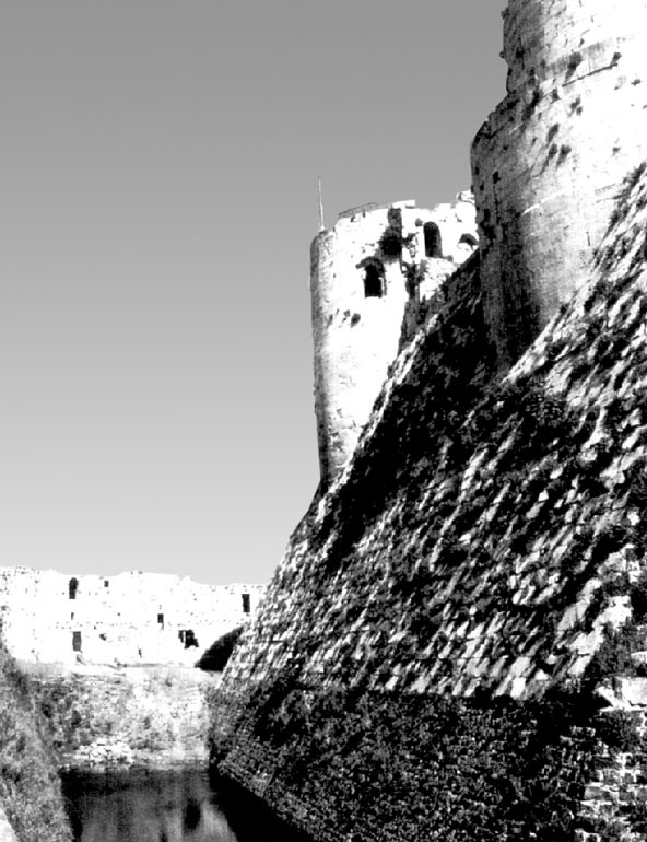 Иллюстрация к книге — Рыцарские ордена в бою [i_165.jpg]