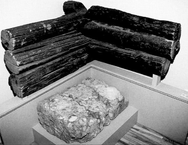 Иллюстрация к книге — Рыцарские ордена в бою [i_174.jpg]