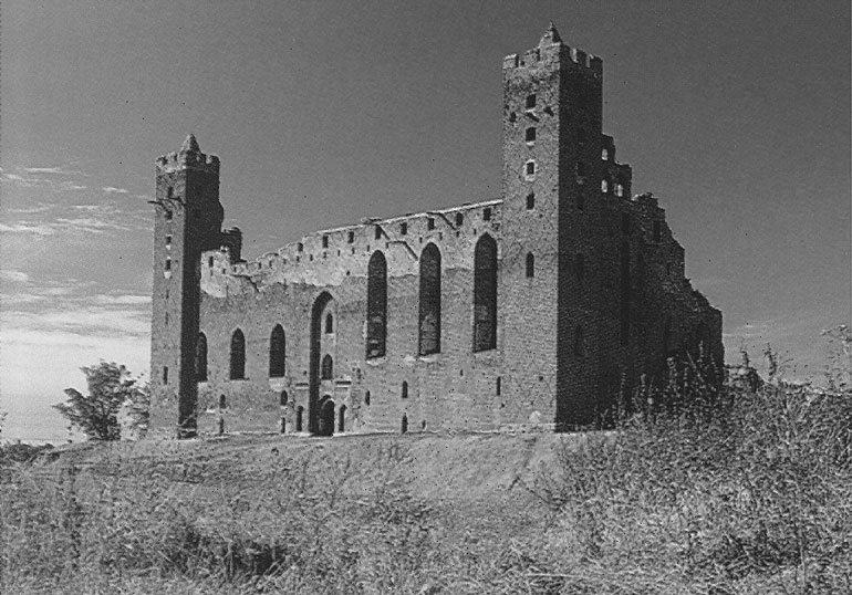 Иллюстрация к книге — Рыцарские ордена в бою [i_176.jpg]