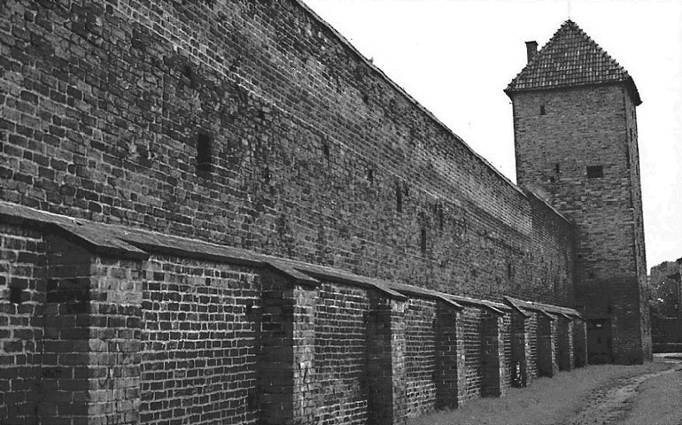 Иллюстрация к книге — Рыцарские ордена в бою [i_177.jpg]