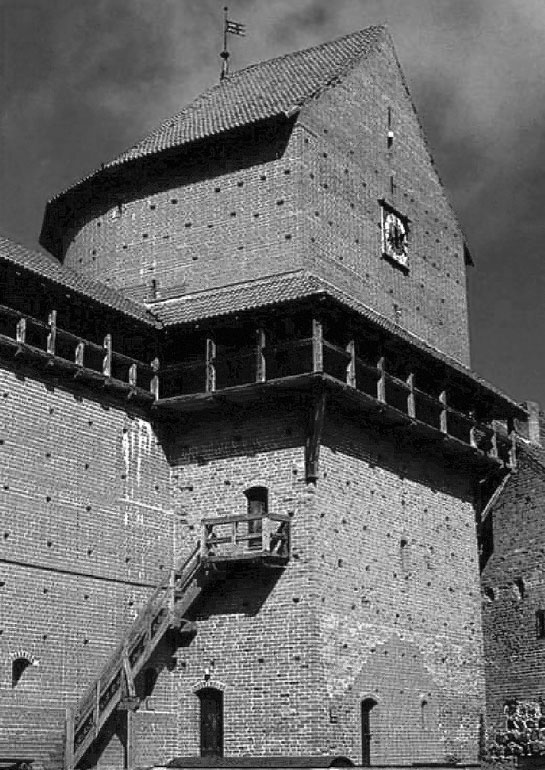 Иллюстрация к книге — Рыцарские ордена в бою [i_188.jpg]