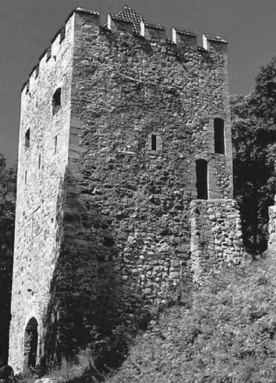 Иллюстрация к книге — Рыцарские ордена в бою [i_192.jpg]