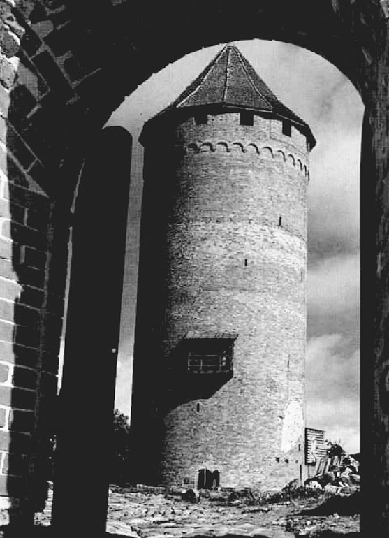 Иллюстрация к книге — Рыцарские ордена в бою [i_198.jpg]