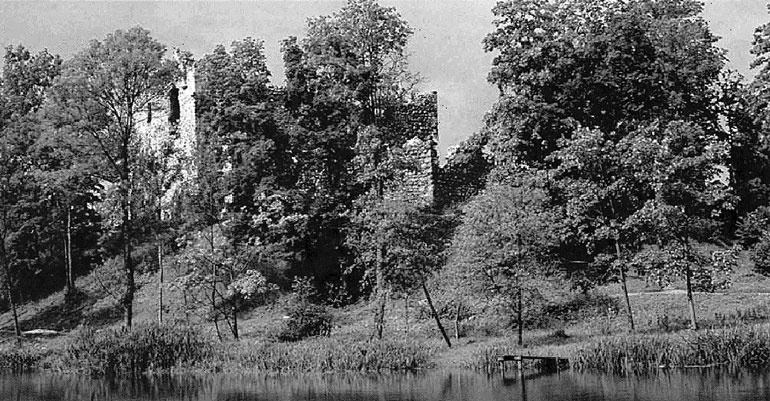 Иллюстрация к книге — Рыцарские ордена в бою [i_201.jpg]