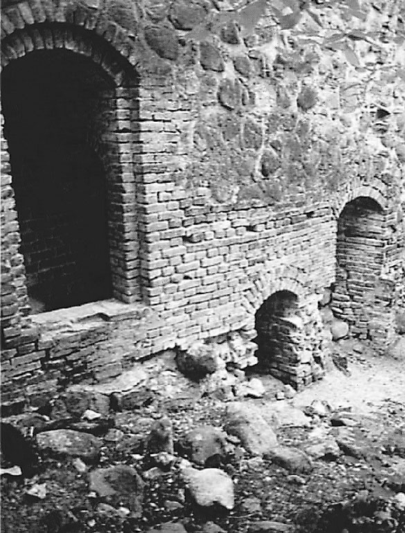 Иллюстрация к книге — Рыцарские ордена в бою [i_203.jpg]