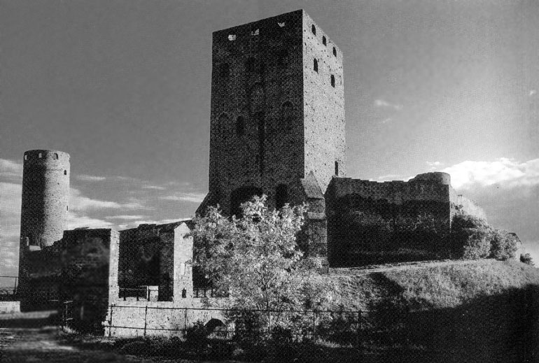 Иллюстрация к книге — Рыцарские ордена в бою [i_207.jpg]