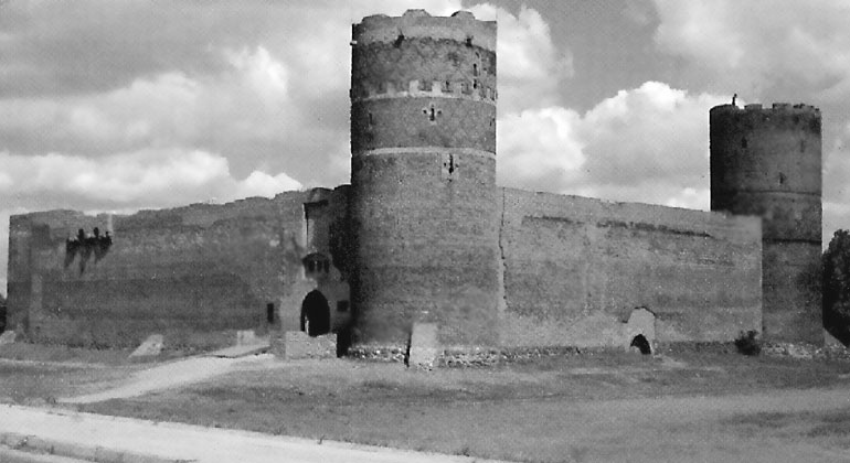 Иллюстрация к книге — Рыцарские ордена в бою [i_209.jpg]