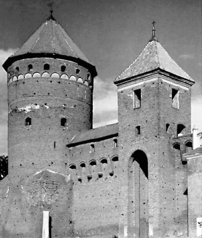 Иллюстрация к книге — Рыцарские ордена в бою [i_212.jpg]