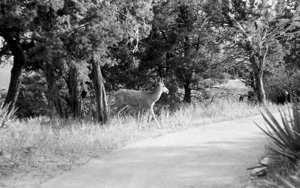 Иллюстрация к книге — Древняя Америка: полет во времени и пространстве. Северная Америка. Южная Америка [i_040.jpg]