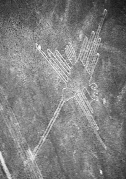 Иллюстрация к книге — Древняя Америка: полет во времени и пространстве. Северная Америка. Южная Америка [i_105.jpg]