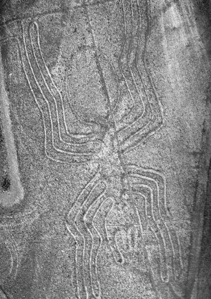 Иллюстрация к книге — Древняя Америка: полет во времени и пространстве. Северная Америка. Южная Америка [i_106.jpg]