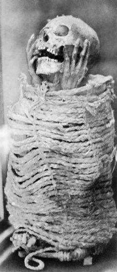 Иллюстрация к книге — Древняя Америка: полет во времени и пространстве. Северная Америка. Южная Америка [i_116.jpg]