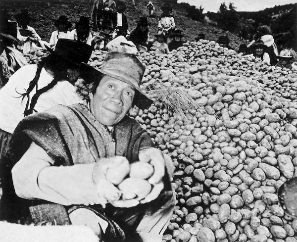 Иллюстрация к книге — Древняя Америка: полет во времени и пространстве. Северная Америка. Южная Америка [i_117.jpg]