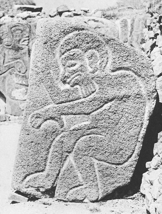 Иллюстрация к книге — Древняя Америка: полет во времени и пространстве. Мезоамерика [i_019.jpg]