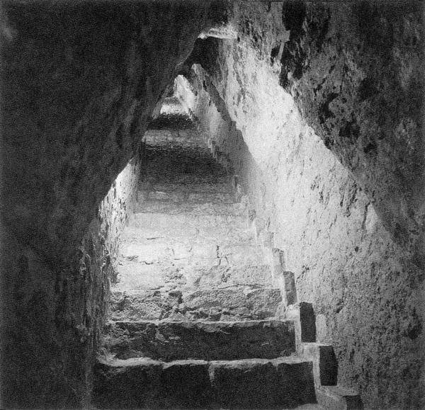 Иллюстрация к книге — Древняя Америка: полет во времени и пространстве. Мезоамерика [i_055.jpg]