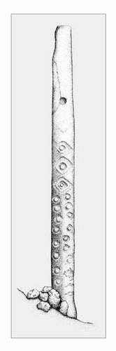 Иллюстрация к книге — Древняя Америка: полет во времени и пространстве. Мезоамерика [i_142.jpg]