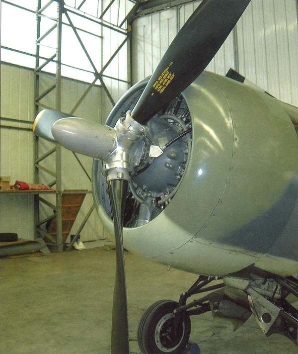 Иллюстрация к книге — Палубный истребитель Грумман F4F «Уайлдкэт» [i_093.jpg]