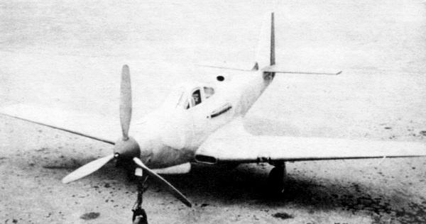 Иллюстрация к книге — ИСТРЕБИТЕЛЬ P-63 «КИНГКОБРА» [i_012.jpg]