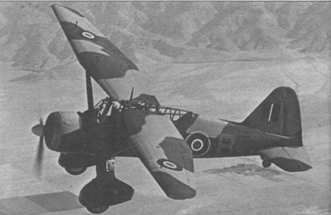 Иллюстрация к книге — Ближние разведчики, корректировщики и штурмовики, 1939-1945 [pic_75.jpg]