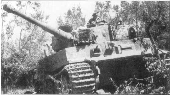 Иллюстрация к книге — Тяжелый танк «Тигр I» [i_144.jpg]