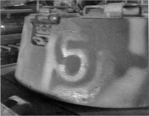 Иллюстрация к книге — Маленькие &quot;Тигры&quot;. Для разведки и связи [i_145.jpg]