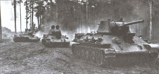 Иллюстрация к книге — У стен Смоленска [i_033.jpg]