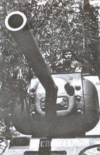 Иллюстрация к книге — У стен Смоленска [i_037.jpg]