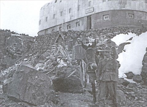 Иллюстрация к книге — Стоять насмерть! [i_015.jpg]