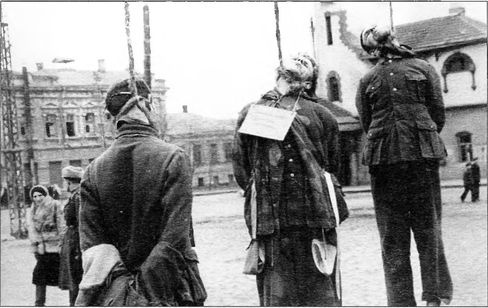 Иллюстрация к книге — Освобождение Правобережной Украины [i_040.jpg]