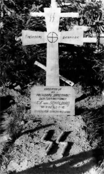 Иллюстрация к книге — Войска СС без грифа секретности [_0268.jpg]