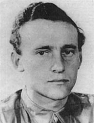 Иллюстрация к книге — Железный крест. Самая известная военная награда Второй мировой войны [i_183.jpg]