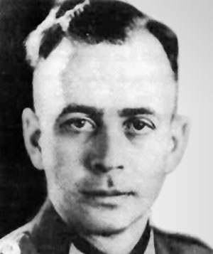 Иллюстрация к книге — Железный крест. Самая известная военная награда Второй мировой войны [i_450.jpg]