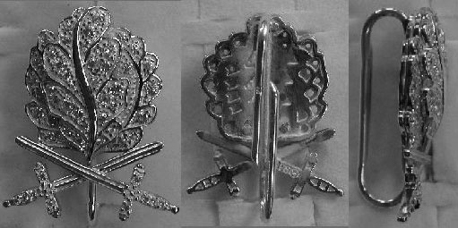 Иллюстрация к книге — Железный крест. Самая известная военная награда Второй мировой войны [i_887.jpg]