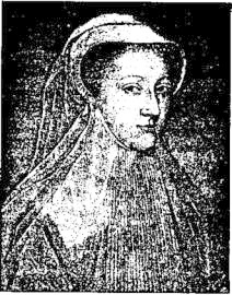 Иллюстрация к книге — Властители судеб Европы. Императоры, короли, министры XVI-XVIII веков [i_034.jpg]