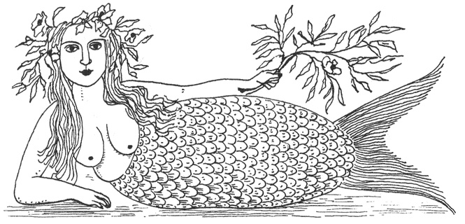 Иллюстрация к книге — История и зоология мифических животных [i_014.jpg]