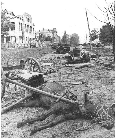 Иллюстрация к книге — Утерянные победы Красной Армии [i_010.jpg]