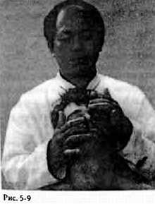 Иллюстрация к книге — Китайский цигун-массаж. Общий массаж [_09.jpg]