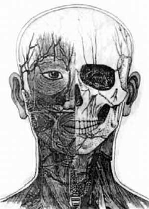 Иллюстрация к книге — Китайский цигун-массаж. Общий массаж [_11.jpg]