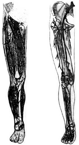 Иллюстрация к книге — Китайский цигун-массаж. Общий массаж [_111.jpg]