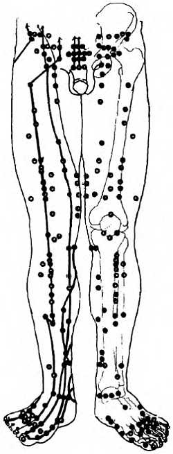 Иллюстрация к книге — Китайский цигун-массаж. Общий массаж [_115.jpg]