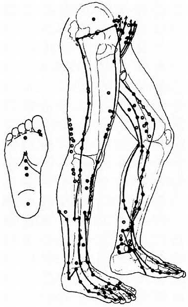 Иллюстрация к книге — Китайский цигун-массаж. Общий массаж [_116.jpg]