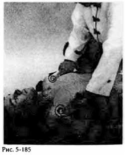 Иллюстрация к книге — Китайский цигун-массаж. Общий массаж [_185.jpg]