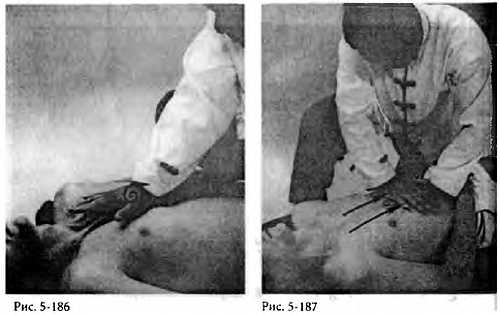 Иллюстрация к книге — Китайский цигун-массаж. Общий массаж [_187.jpg]