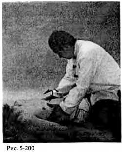 Иллюстрация к книге — Китайский цигун-массаж. Общий массаж [_200.jpg]