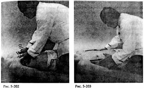 Иллюстрация к книге — Китайский цигун-массаж. Общий массаж [_203.jpg]