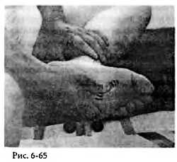 Иллюстрация к книге — Китайский цигун-массаж. Общий массаж [_65.jpg]