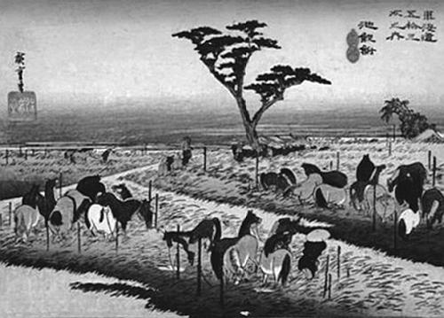 Иллюстрация к книге — Всеобщая история религий мира [_572.jpg]