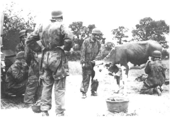 Иллюстрация к книге — Германские парашютисты. 1939-1945 [doc2fb_image_0200001f.jpg]